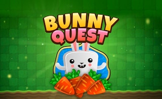 Image Bunny Quest
