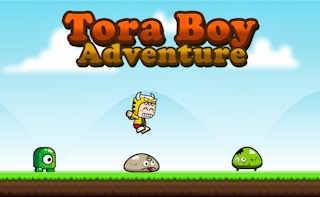 Image Tora Boy Adventure